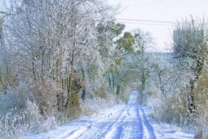 E-SYSTEM Jacek Klimaszewski