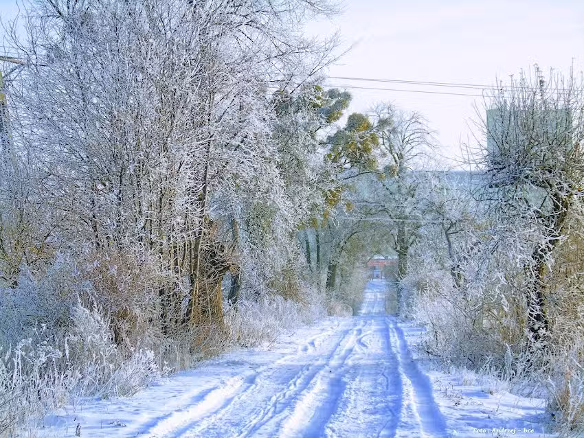 E-SYSTEM Jacek Klimaszewski
