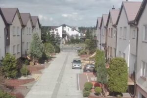 Kamelia-Net. Studio komputerowe. Krysiak J.