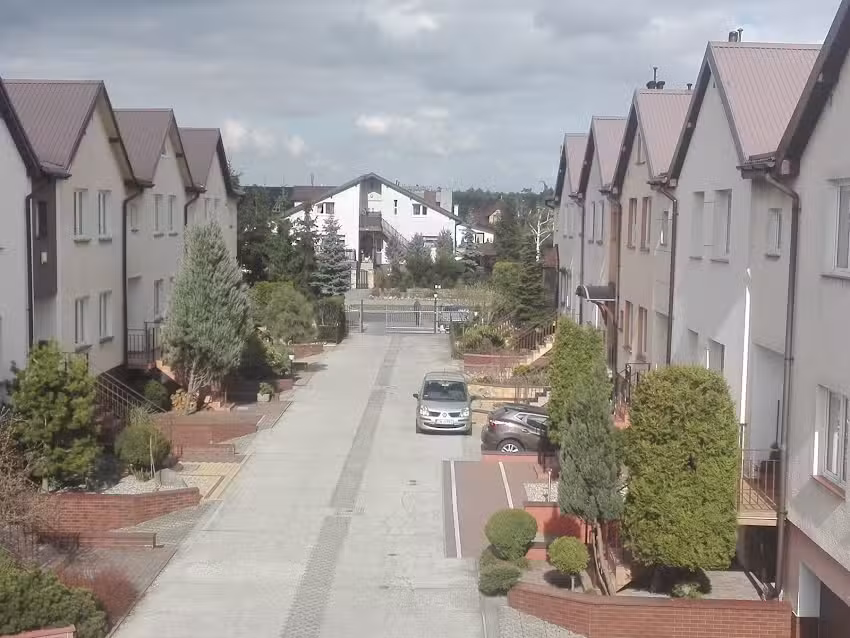 Kamelia-Net. Studio komputerowe. Krysiak J.