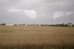 POGOTOWIE KOMPUTEROWE I DIAGNOSTYKA SAMOCHODOWA